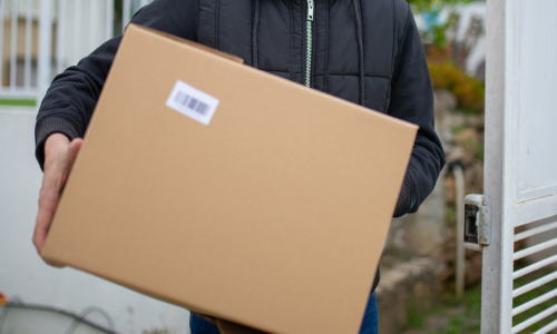 Person carrying a box