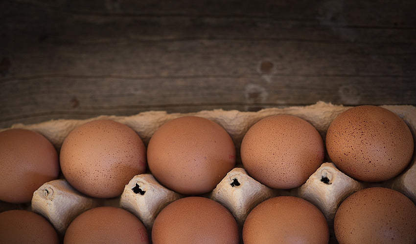 Difference Between Store Bought Eggs and Fresh Farm Eggs