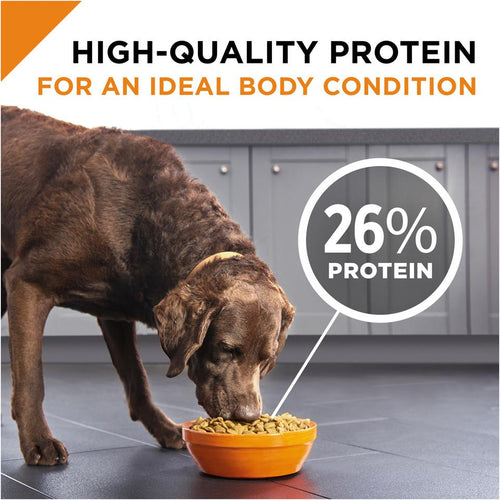 Purina Pro Plan Savor Adult Shredded Blend Lamb & Rice Formula Dry Dog Food