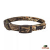 Coastal Water & Woods Double-Ply Patterned Hound Dog Collar (Country Roots Evergreen)