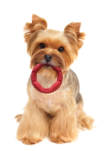 Ethical SPOT Barrett Tough Ring Dog Toy (5″)