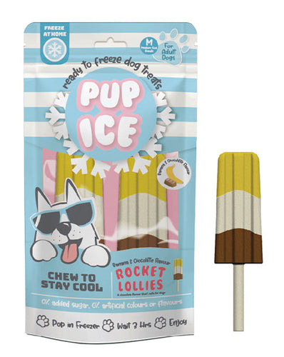 Ethical Pet Rocket Lollies Banana & Chocolate Flavor Dog Treats