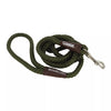 Coastal Water & Woods Braided Rope Snap Dog Leash (1/2 X 6', Green)