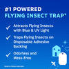 Zevo Flying Insect Trap Fly Trap (1 Plug-In Base + 1 Cartridge) (1 Kit)