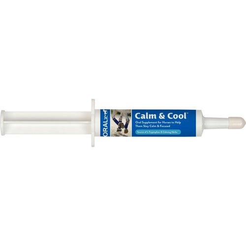 ORALX CALM & COOL ORAL SUPPLEMENT PASTE (34 GM)