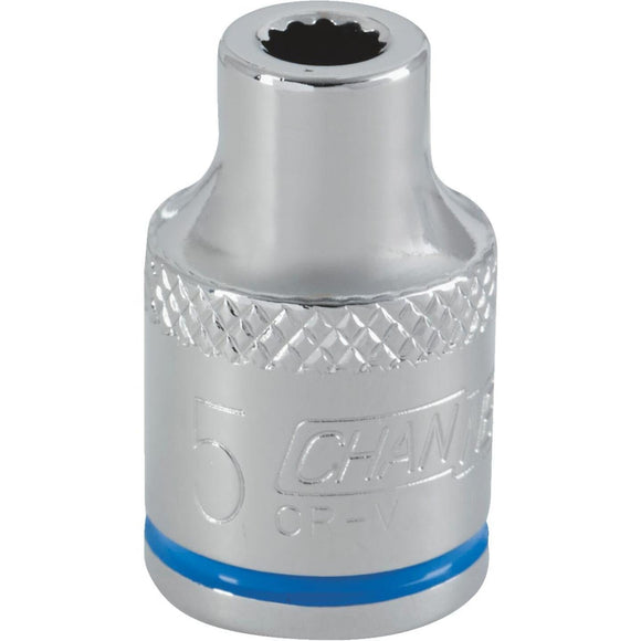 Channellock 3/8 In. Drive 5 mm 12-Point Shallow Metric Socket