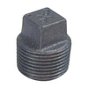 B&K 1/2 In. Malleable Black Iron Pipe Plug